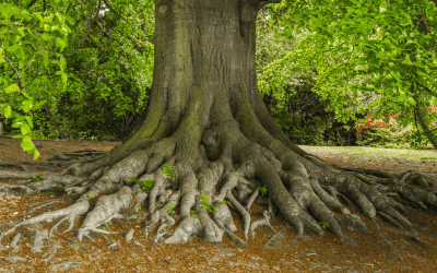 Grounding