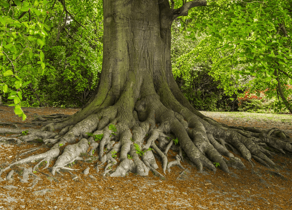 Grounding